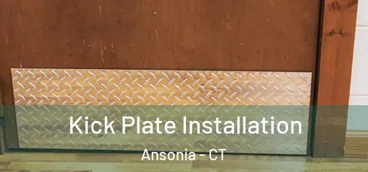  Kick Plate Installation Ansonia - CT