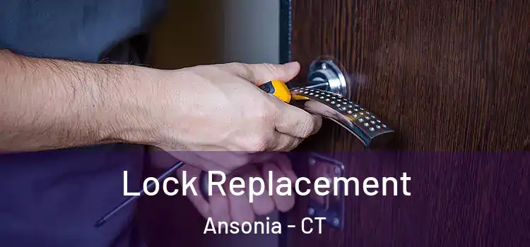  Lock Replacement Ansonia - CT