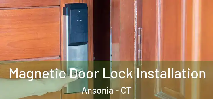 Magnetic Door Lock Installation Ansonia - CT