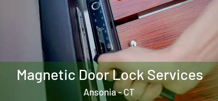 Magnetic Door Lock Services Ansonia - CT