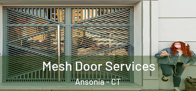  Mesh Door Services Ansonia - CT