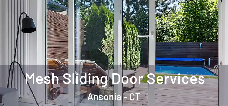 Mesh Sliding Door Services Ansonia - CT