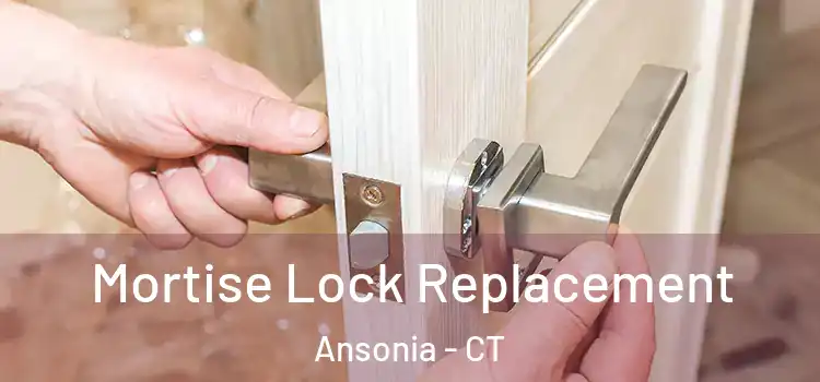  Mortise Lock Replacement Ansonia - CT