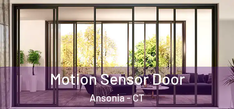  Motion Sensor Door Ansonia - CT