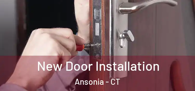  New Door Installation Ansonia - CT