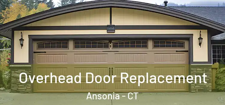  Overhead Door Replacement Ansonia - CT