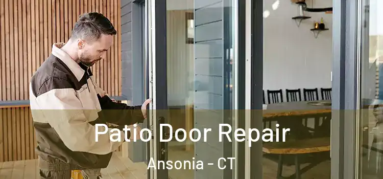  Patio Door Repair Ansonia - CT
