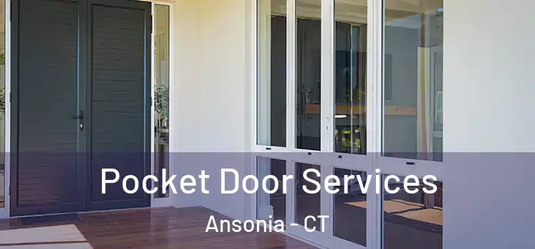  Pocket Door Services Ansonia - CT