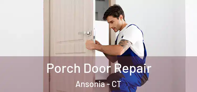  Porch Door Repair Ansonia - CT