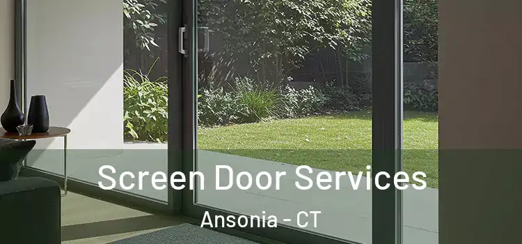  Screen Door Services Ansonia - CT