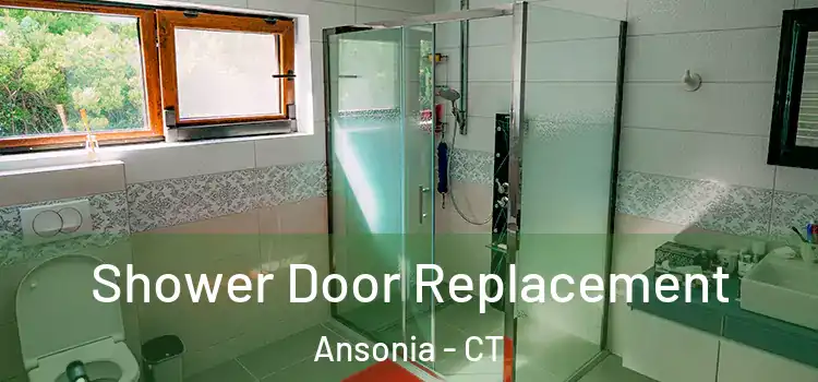  Shower Door Replacement Ansonia - CT