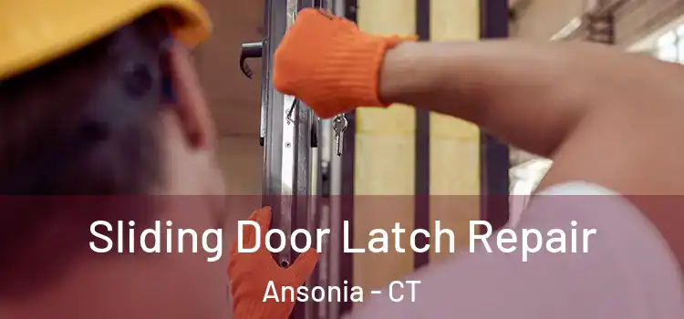 Sliding Door Latch Repair Ansonia - CT