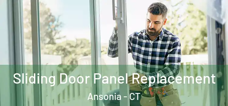  Sliding Door Panel Replacement Ansonia - CT