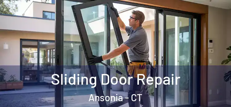  Sliding Door Repair Ansonia - CT
