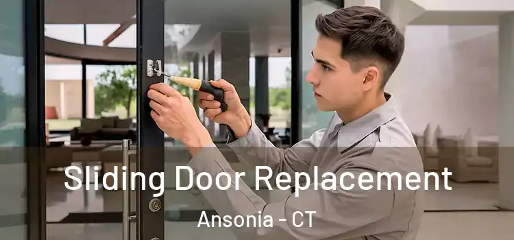  Sliding Door Replacement Ansonia - CT