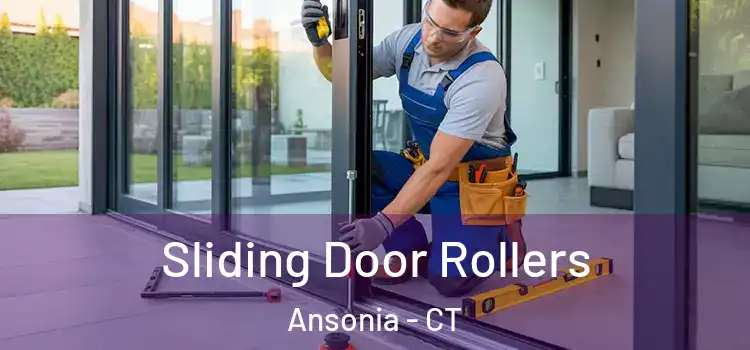  Sliding Door Rollers Ansonia - CT