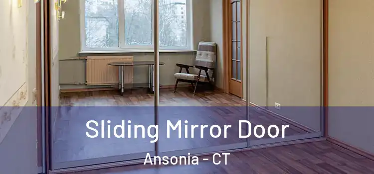  Sliding Mirror Door Ansonia - CT