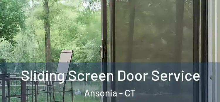  Sliding Screen Door Service Ansonia - CT