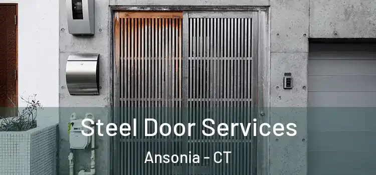  Steel Door Services Ansonia - CT