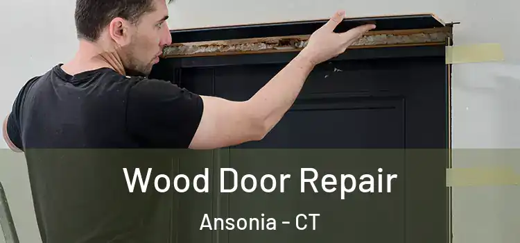  Wood Door Repair Ansonia - CT